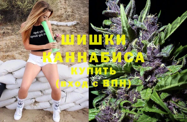 молекула духа Балахна